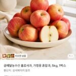 홍로사과 가정용 혼합과 5kg
