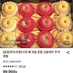 사과 배 과일 혼합 선물세트