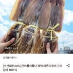 영덕 마른 오징어 10미