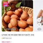 난각번호 1번 생란 40구