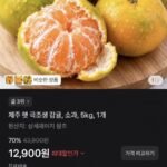 제주 햇 감귤 소과 5kg