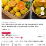 제주 극조생 노지감귤 4.5kg 로얄과 S