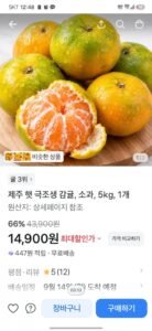 제주 햇 극조생 감귤 5kg