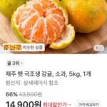 제주 햇 극조생 감귤 5kg