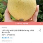 26년 햇 황금배 4.5kg 중소과
