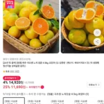 제주 극조생 노지감귤 4.5kg 로얄소과 (티멤11,690 / 배송비 무료)