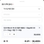 허니듀 멜론 추석선물세트 12kg 5~6과