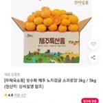 제주 노지감귤 소과로얄 3kg