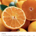 극조생 노지감귤 4.5kg 로얄과