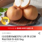 나주 햇 신고배 특상/대과 (5-8과) 5kg