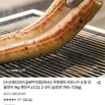 국내산 무항생제 자포니카 손질 민물장어 1kg 2~3미