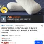 프로텍트어베드 땅콩 메모리폼 베개 더 낮은형