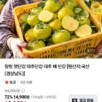 창원 햇단감 태추단감 대추 배 단감