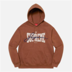 슈프림 Embroidered Chenille Hooded Sweatshirts 후드티 SS22SW4-BROWN