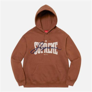슈프림 Embroidered Chenille Hooded Sweatshirts 후드티 SS22SW4-BROWN