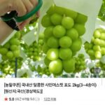 국내산 샤인머스켓 2kg