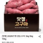 2026년 햇단밤고구마 5kg 실속형 특상