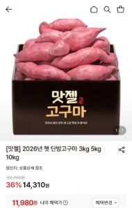 2026년 햇단밤고구마 5kg 실속형 특상