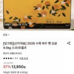 제주 햇 감귤 4.5kg 소과