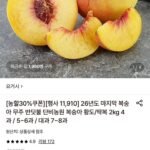 26년도 무주 반딧불 단비농원 복숭아 황도 2kg 5-6과