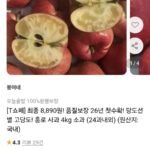홍로사과 4kg 소과 (티멤 카카페 8,890/무배)