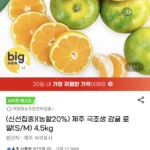 제주 극조생 감귤 로얄과 4.5kg