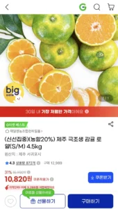 제주 극조생 감귤 로얄과 4.5kg