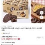 진한 초코와플 428g 20봉