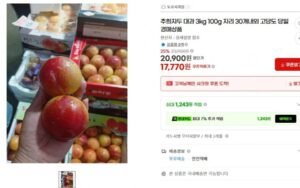 추희자두 대과 3kg 100g급 30개 내외 고당도 (17,700원/