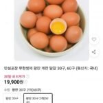 무항생제 왕란 계란 달걀 60구