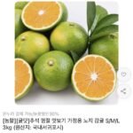 극조생 감귤 3kg 중과