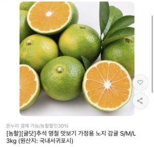 극조생 감귤 3kg 중과