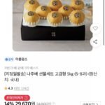 나주배 선물세트 고급형 5kg (5-8과)