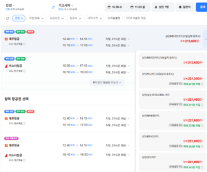 인천-가고시마 1028-1102 농협카드