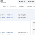 부산-구마모토 1016-1020