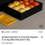 사과배 혼합 선물세트 1호 5kg + 금보자기 동봉