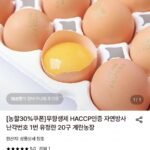 자연방사 난각번호 1번 유정란 20구