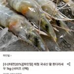 제철 국내산 활 흰다리새우 1kg