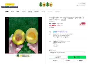 페루산 프리미엄 아보카도 대과 10과 직수입