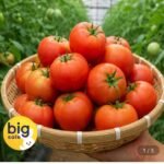 완숙토마토 4kg 쥬스용
