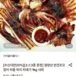 원양산 반건조오징어 1kg 파지