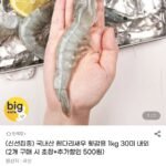 국내산 흰다리새우 횟감용 1kg 30미 내외