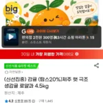 제주 햇 극조생 감귤 로얄과 4.5kg