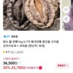 완도 활 전복1kg 6-7미 특대전복