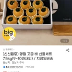 신선집중 명절 고급 배 선물세트 7.5kg 9~10과 지정일배송