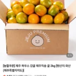 제주 하우스 감귤 제주직송 귤 2kg