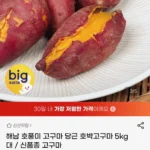 해남 호풍미 호박고구마 5kg