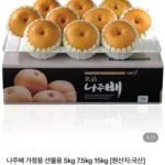 나주배 선물세트 5kg 9-10과
