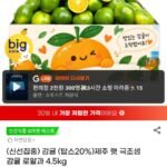 제주 햇 감귤 극조생감귤 로얄과 4.5kg