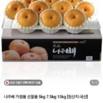 나주배 9-10과 선물세트 5kg